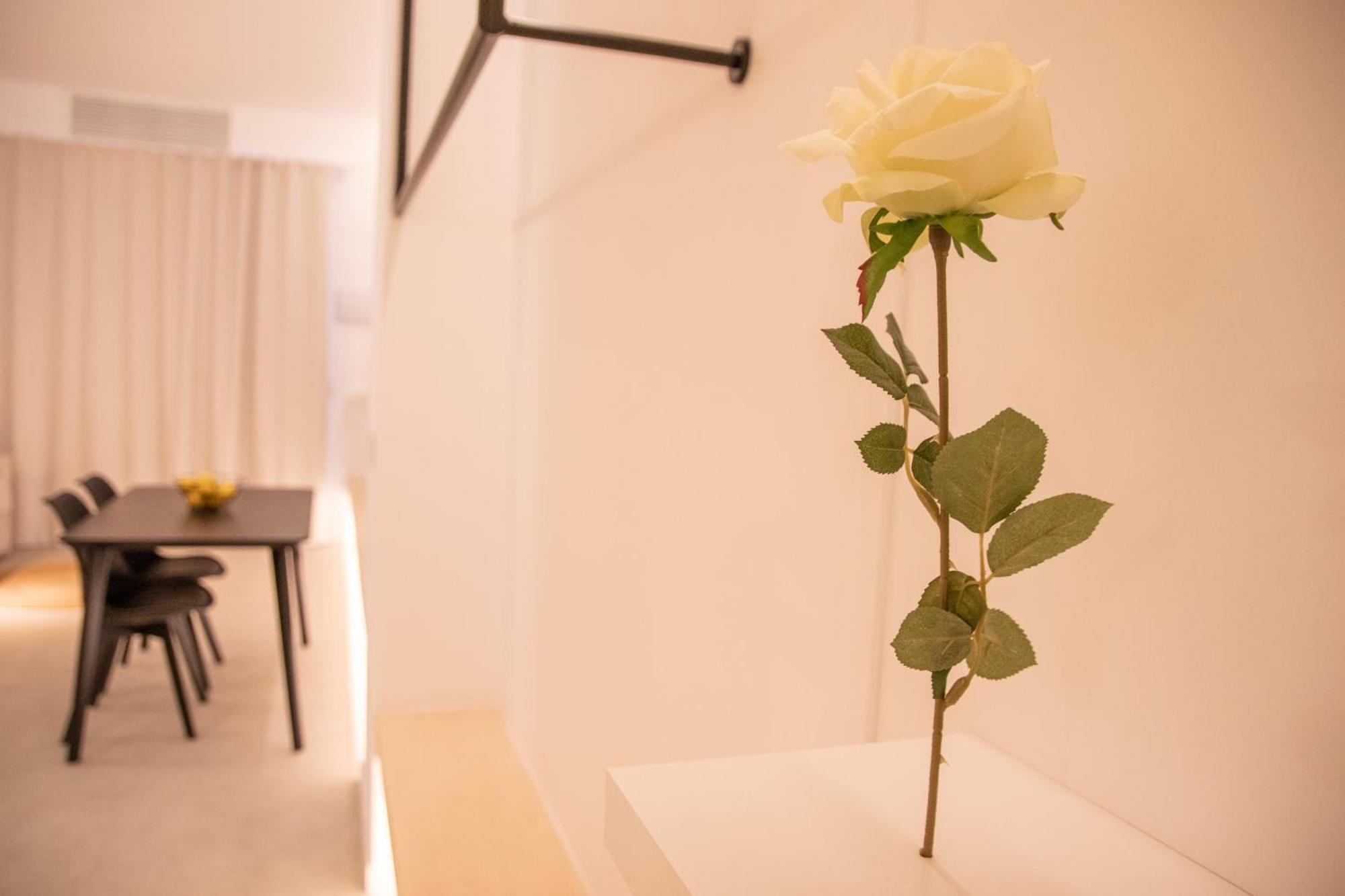 Breathe Apartments By Concept Flats Valencia Kültér fotó